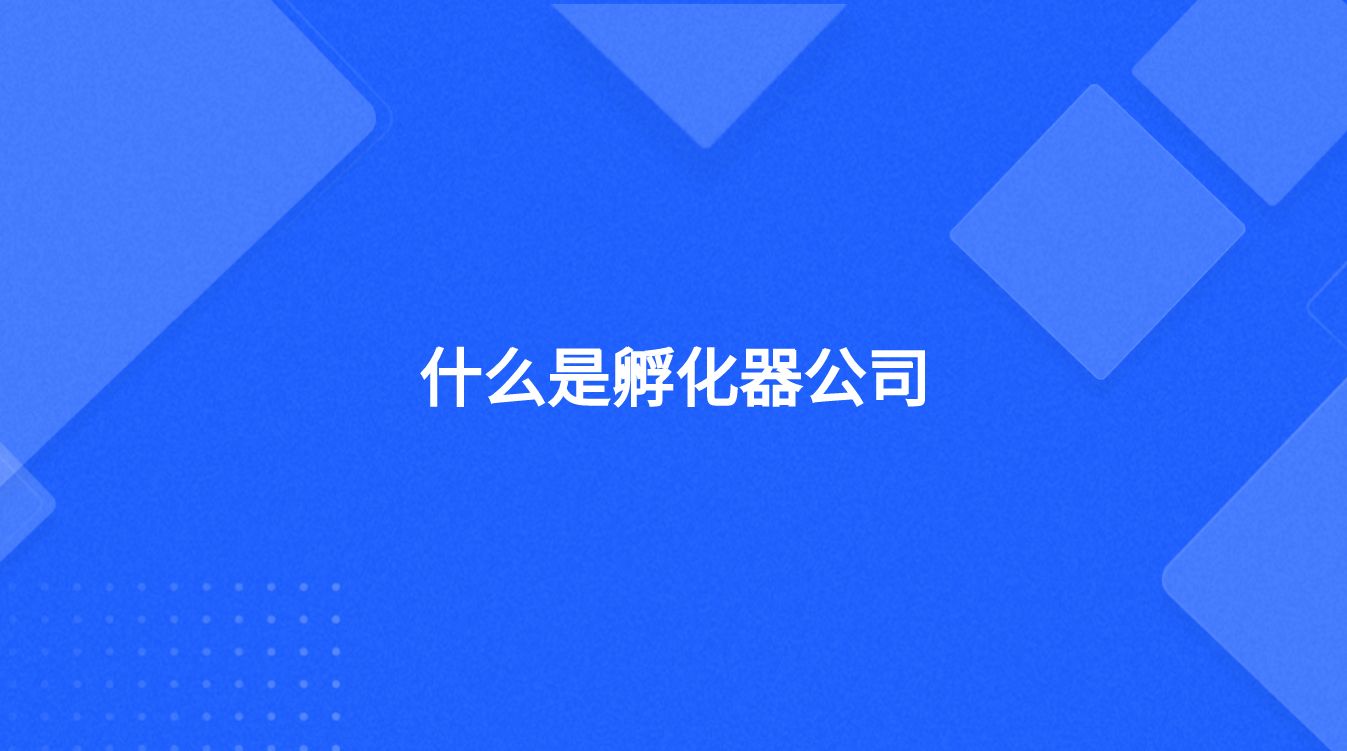 什么是孵化器公司