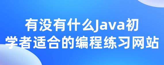 有没有什么Java初学者适合的编程练习网站