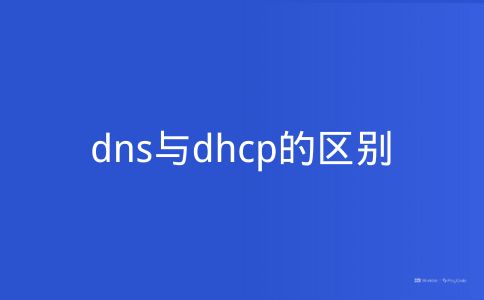 dns与dhcp的区别