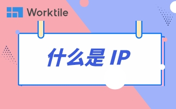 什么是 IP